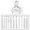 Клапан запорный сталь 15с65нж Ду 80 Ру16 Тмакс=425 оС фл Китай .