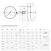 Манометр ТМ-310Т.00 осевой Дк63мм 0-0,6 МПа G1/4" Росма 00000008921