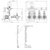 Установка повышения давления COE-2 MHI 803/CE-EB-R Wilo 2785871 (2789119)
