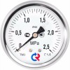 Манометр гидрозаполненный ТМ-320Т.20 осевой Дк63мм 0-6 МПа G1/4" силикон Росма 00000031031