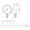Манометр ТМ-310Р.00 радиальный Дк63мм 0-2,5 МПа G1/4" Росма 00000006701